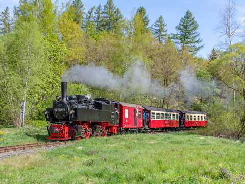 In den vergangenen Jahren wurde die Mallet-Lok 99 5906-5 nur selten eingesetzt – am 15. Mai 2022 ging die letzte betriebsfähige Lok dieser Bauart bei den Harzer Schmalspurbahnen in den Ruhestand.
Richard Geertz fotografierte sie zuvor noch am 14. Mai 2022 zwischen Silberhütte und Straßberg. | 14.05.2022 In den vergangenen Jahren wurde die Mallet-Lok 99 5906-5 nur selten eingesetzt – am 15. Mai 2022 ging die letzte betriebsfähige Lok dieser Bauart bei den Harzer Schmalspurbahnen in den Ruhestand.
Richard Geertz fotografierte sie zuvor noch am 14. Mai 2022 zwischen Silberhütte und Straßberg.
