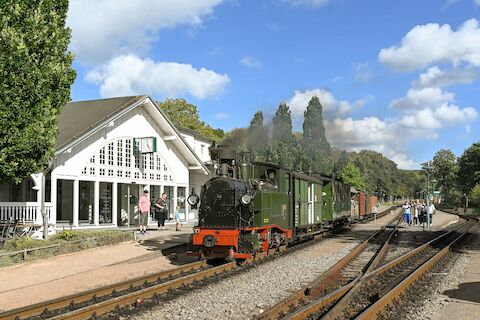 Eine königlich-sächsische Lok auf der Rügenschen Kleinbahn in Binz? Vor 1920 bzw. 1949 war das undenkbar! Im Juli und in der ersten Augusthälfte 2024 war dies mehrere Tage möglich.