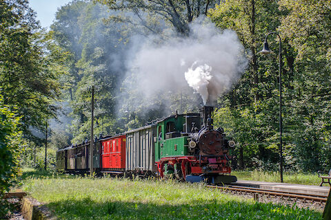 Zum Festwochenende „50 Jahre Traditionsbetrieb in Radebeul“ kam im von der IV K Nr. 176 geführten Sonderzug nach 15 Jahren wieder der 1908 in Bautzen gebaute Bahnpostwagen Nr. 2680 der IG Verkehrsgeschichte Wilsdruff e. V. zum Einsatz. Richard Geertz fotografierte den Zug am 24. August 2024 im Haltepunkt Lößnitzgrund.