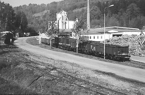 Am 16. Mai 1989 hat 110 551 mit ihrer Rangierabteilung aus Richtung Anschlußstelle Plattenthal kommend soeben den Anschluß Leichtbauplattenwerk erreicht.