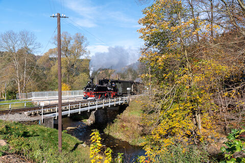 Goldener Herbst im Preßnitztal: In der Einfahrt Schmalzgrube fotografierte Jürgen Herold am 27. Oktober 2024 einen Zug mit der IV K 99 1590-1.