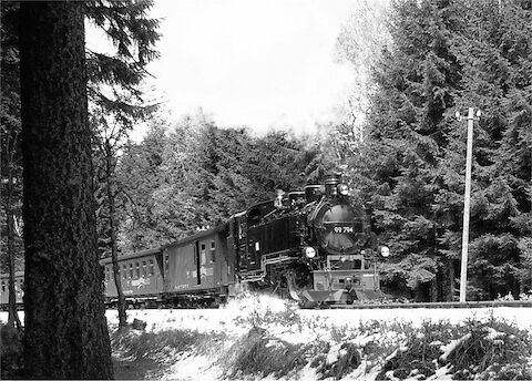 Anfang Mai donnerte 99 794 mit einem Personenzug die Steigung nach Kretscham-Rothensehma empor. Die Lok ist die erste der Fichtelbergbahn, die ein Nummernschild mit genormten Spitzziffern trägt, wie sie bei der DR bis 1970 galten. Für Eisenbahnfotografen wirkt die Lok jetzt wesentlich attraktiver.