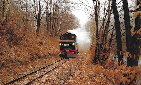 Nein, nicht mehr im Preßnitztal sondern tatsächlich im Weißeritztal entstand diese Aufnahme von 99 1564-6 am 29. November 2003. Anläßlich des 5. Kleinbahnfestes in Freital pendelten 99 1564-6 und 99 1713-9 mit Reisezügen zwischen Hainsberg und Coßmannsdorf. Auf dieser Aufnahme wagte sich die IV K einmal allein bis etwa zum Kilometer 3,5 der HK-Linie.