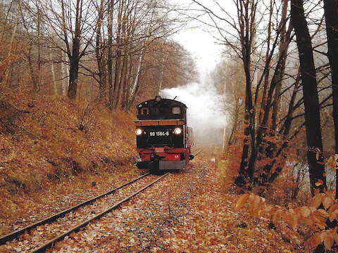 Nein, nicht mehr im Preßnitztal sondern tatsächlich im Weißeritztal entstand diese Aufnahme von 99 1564-6 am 29. November 2003. Anläßlich des 5. Kleinbahnfestes in Freital pendelten 99 1564-6 und 99 1713-9 mit Reisezügen zwischen Hainsberg und Coßmannsdorf. Auf dieser Aufnahme wagte sich die IV K einmal allein bis etwa zum Kilometer 3,5 der HK-Linie.