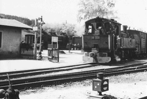 Wo 1942 in Taubenheim noch 99 558 zur Abfahrt nach Dürrhennersdorf bereit stand, wachsen heute Sträucher.