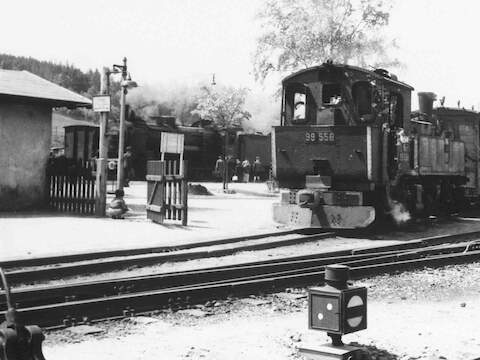 Wo 1942 in Taubenheim noch 99 558 zur Abfahrt nach Dürrhennersdorf bereit stand, wachsen heute Sträucher.