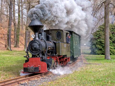 Am 3. April 2026 fuhr die Bn2t vom Jung-Typ „Hilax“ erstmals auf der Waldeisenbahn Muskau. | 03.04.2026 | Foto: Mateusz Paulus Am 3. April 2026 fuhr die Bn2t vom Jung-Typ „Hilax“ erstmals auf der Waldeisenbahn Muskau.